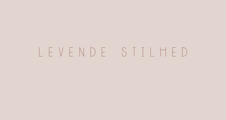 Levende stilhed - oprindelige designd fra Laura - Opslag 1 (2)